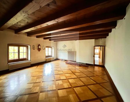 Splendid 4.5-room apartment in the city center - Photo 3