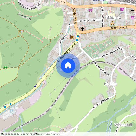 8494, Bauma, Im Böl, 7