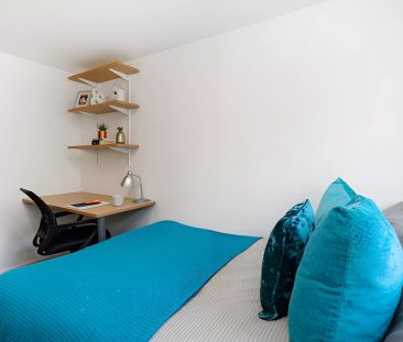 Bronze Plus - Photo 1