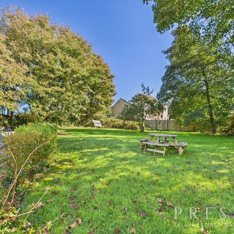 4 bedroom farm house to rent - Photo 1