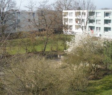 Attraktive 3-Zimmer-Wohnung mit Balkon und neuem Bad - Photo 2