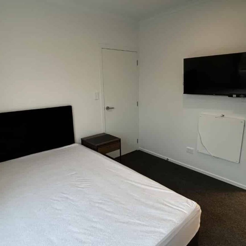 Hot on Hibiscus - Photo 1