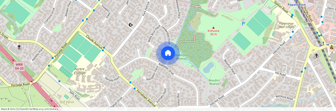 29 Lendenfeld Drive, Papatoetoe, Manukau City