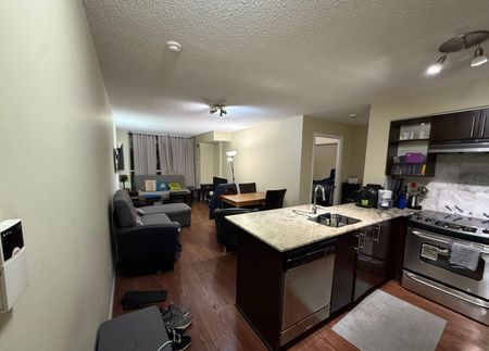 For Lease - 96 Saint Patrick Street Unit# 302, Toronto, Ontario - Photo 2