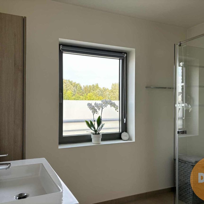 LEDE - ENERGIEZUINIG appartement met 2 slpks nabij centrum. - Photo 1