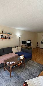 Kitsilano, Bright, Large 1 Bed, 2nd Flr, October 1st - Photo 4