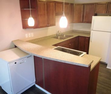 ✨ Bright & Comfortable 2-Bedroom - Photo 6