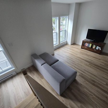 Centre-Ville St-Hyacinthe - 5 sept 2026 - Grand 4 1/2 appartement / logement à louer - Photo 3