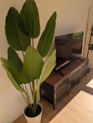 Pronájem bytu 3+1 • 60 m² bez realitkyGerhart Hauptmann Straße 56 Salzgitter Thiede Thiede Niedersachsen 38239 - Photo 3