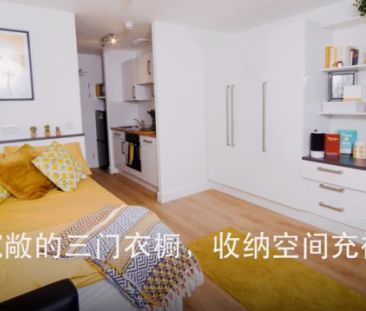 Deluxe Studio - Photo 2