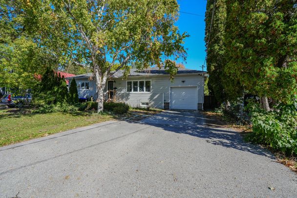 For Lease - 345 NAPIER Street, Collingwood, Ontario - Photo 1