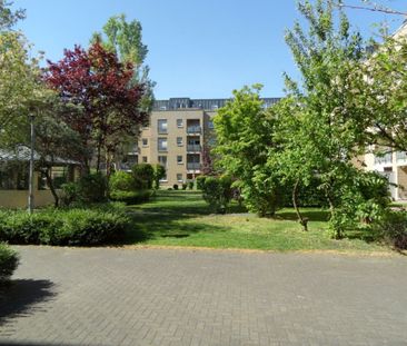 46310/91 Gut geschnittene 2-Zi-Wohnung mit Balkon in Troisdorf Sieglar - Photo 2