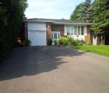 For Lease - 23 King Richard Court Unit# BSMT, Markham, Ontario - Photo 5