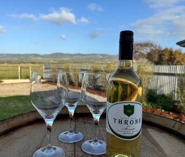 Coastal Charm with Stunning Views & the Ultimate Dream Shed - Photo 5