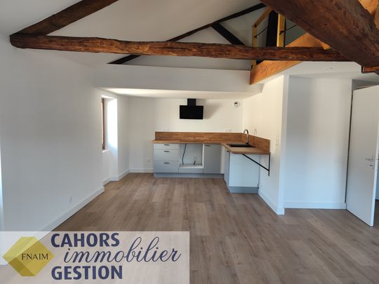 Location Appartement 1 pièce 41m² CAHORS 46000 - Photo 1