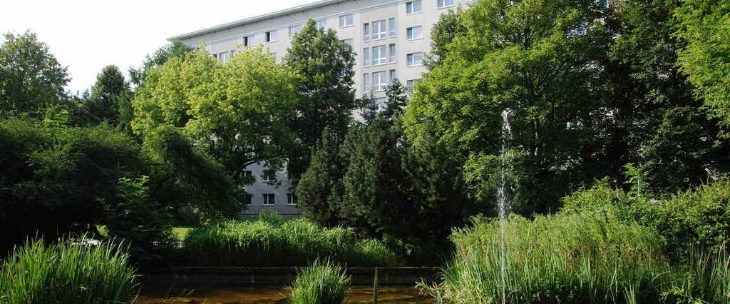 2-Raum-Wohnung - Photo 1