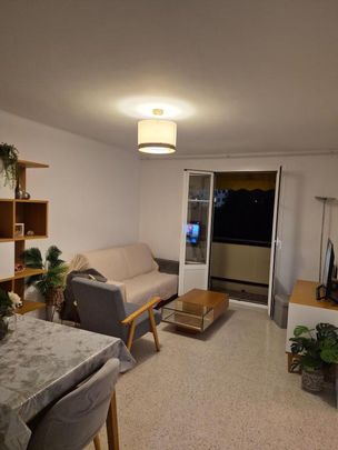 Location Appartement 3 pièces 55m² NICE 06000 - Photo 1