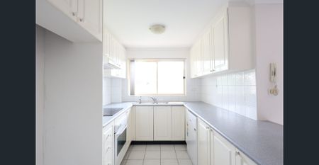 Sun-Filled & Spacious Apartment - Photo 3