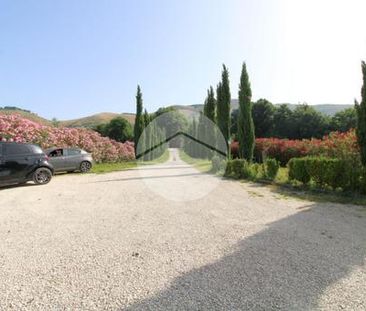 Bilocale in affitto - Photo 3