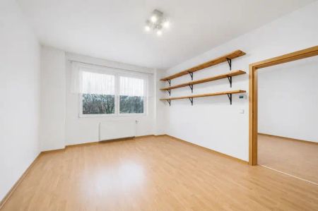 Pronájem bytu 2+kk Novosadský dvůr - Photo 4