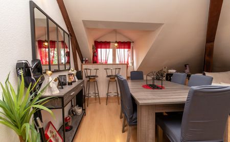 PONTARLIER - T1 BIS~SECTEUR CALME - Photo 4