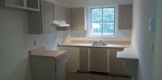 4 ½, 2 Chambres, Centre-sud, Près UQAM - Photo 3