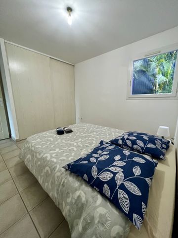 Location Appartement 2 pièces 41m² LE TAMPON 97430 - Photo 2