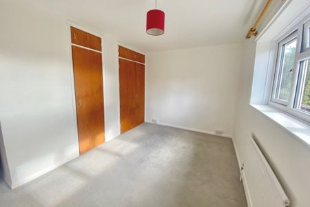 Goldfield Road - Photo 5