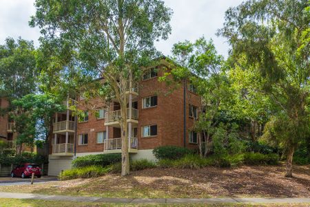 Tranquil Top-Floor Apartment with Leafy Outlook - Photo 3