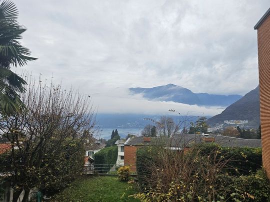 4.5 locali ristrutturato con ampia terrazza - Photo 1