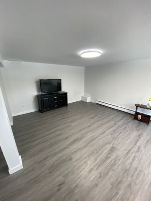 For Lease - 5749 Summer Street Unit# Basement, Niagara Falls, Ontario - Photo 1