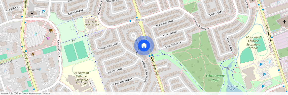 50 Birdwood Court Unit# Lower A, Toronto