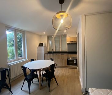 Location Appartement 1 pièce 26m² BRIGNAIS 69530 - Photo 1