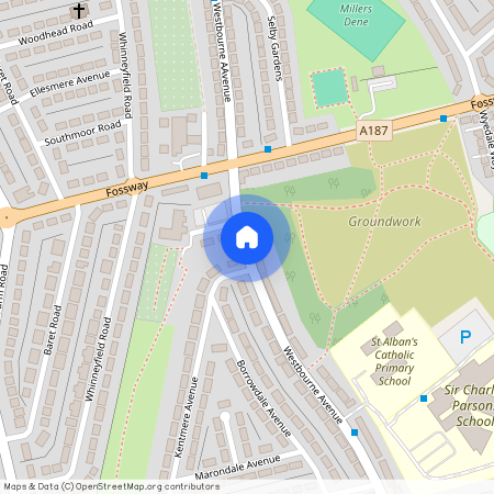 Westbourne Avenue, Walkergate, Newcastle Upon Tyne, Tyne & Wear, NE6 4HR