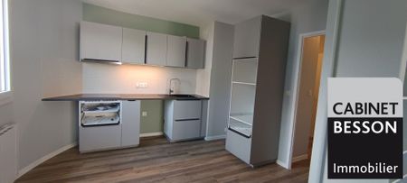Location Appartement 2 pièces 48m² GRENOBLE 38000 - Photo 3
