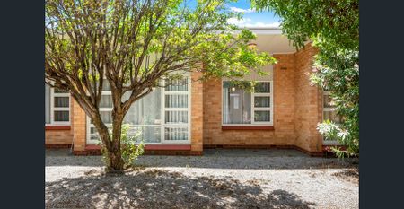 Bright, Comfortable Unit Living in Leafy Clarence Park - Photo 4