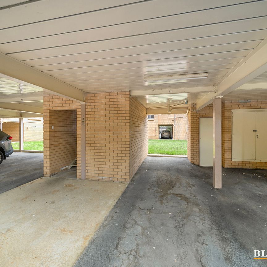 2/63 Molonglo Street, Queanbeyan NSW 2620 - Apartment For Rent | Domain - Photo 1