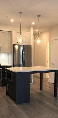 Downtown Abbotsford - 2 bed + 2 bath - Ventura - Photo 1