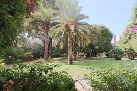 Location Appartement 1 pièce 19m² CANNES 06400 - Photo 4