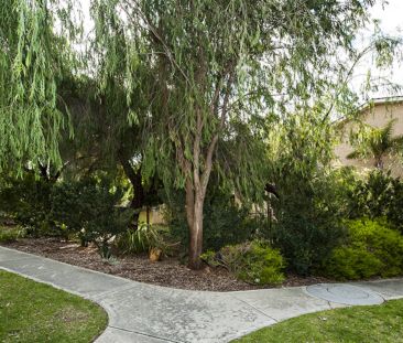 Easy, Breezy & Ready to Move in... 3 Month Short Term Lease! - Photo 2