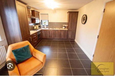 Apt 6, Lady Wallace Court, Lisburn, BT28 3GU - Photo 5