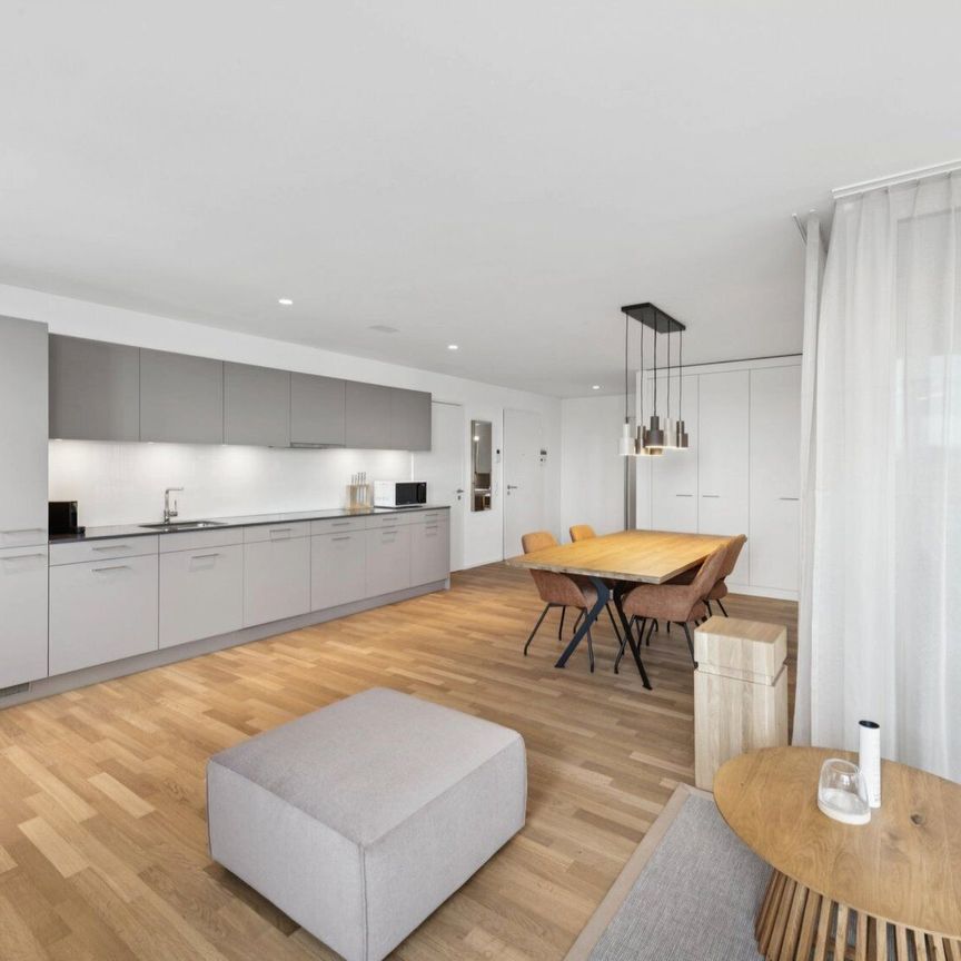 Furnished apartments with Madrid charm in the largest shopping center in Switzerland - Photo 1