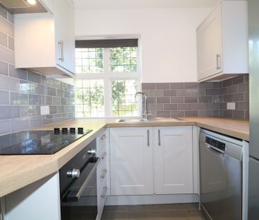 Dog Kennel Green , Ranmore Common, Dorking, RH5 - Photo 6