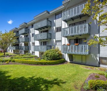 Terrace Green - Bachelor - Photo 1