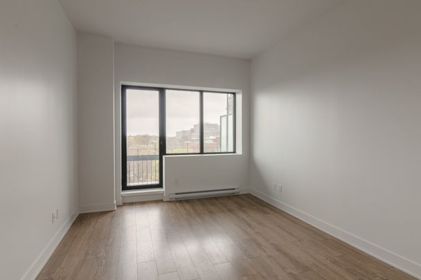 Condo for rent, Montréal (Le Plateau-Mont-Royal) - Photo 1