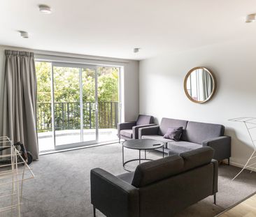 Brand new Studio Rooms on Malvern Street - Available for 2026 - Photo 2