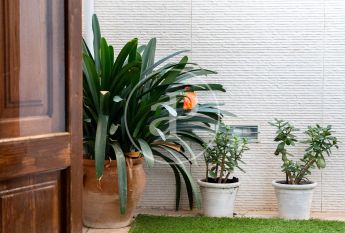 Apartment for rent in Palma