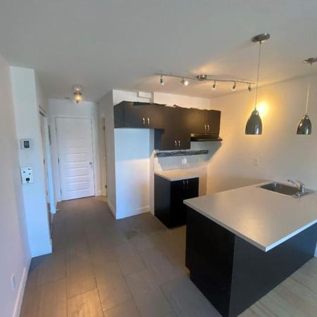 1 CH - 1 SDB - Montréal - $1,195 /mo - Photo 3
