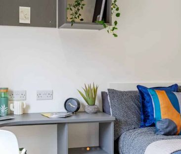 Standard Studio - Photo 5