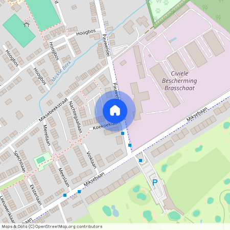 Koekoeklaan, 1, 1V, 2930, Brasschaat